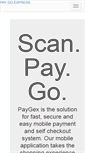 Mobile Screenshot of paygex.com